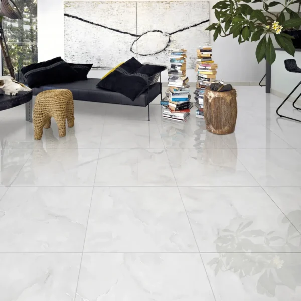 24x24 Polished Porcelain Tiles Preview