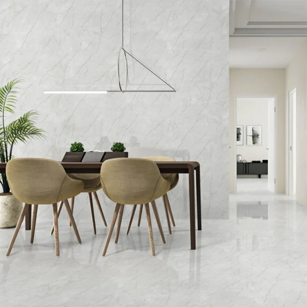 24x48 endless porcelain tiles preview